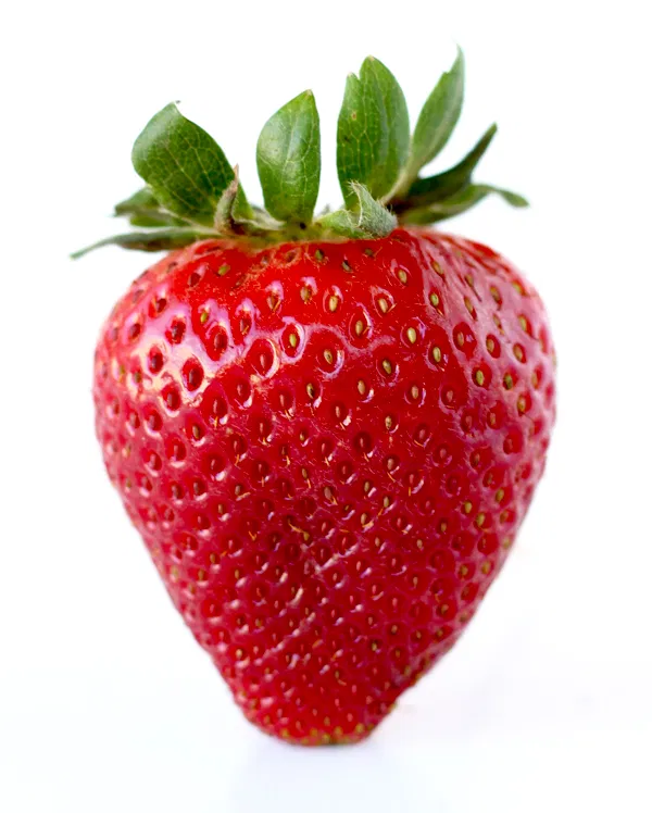 Strawberries, Nutraponics