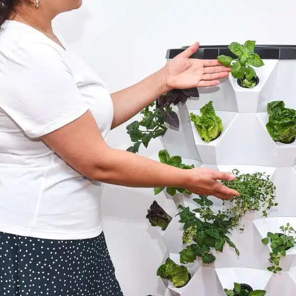 Indoor Tower Garden | Vertical Hydroponic Garden Tower | DIY Indoor Hydroponic Tower | Hydroponic Vertical Tower | Hydroponic Vertical Garden