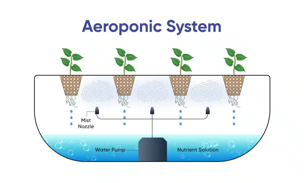 Hydroponics Growing Systems