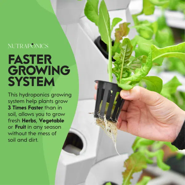 Hydroponics Growing Systems