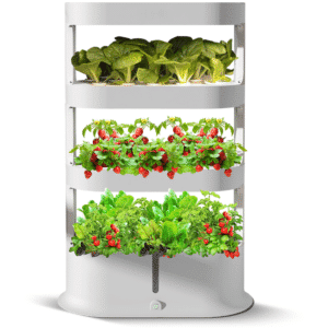 Hydroponic-Grow-System