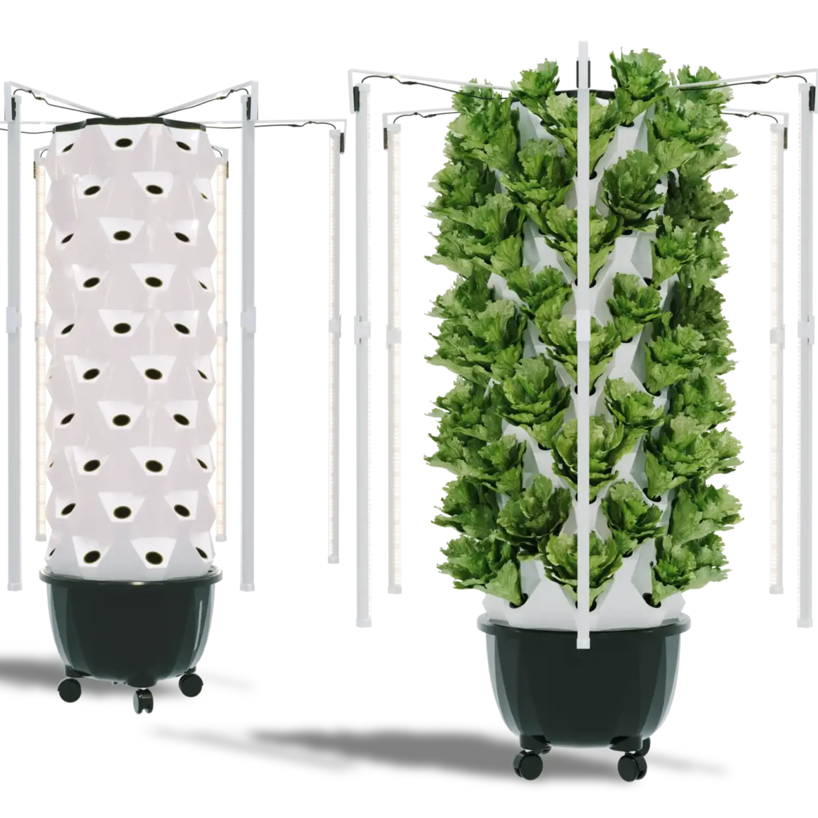 hydroponic-led-grow- lights