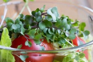 Aeroponic Towers: The Smartest Way to Grow at Home