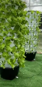 Hydroponics Growing Systems indoor hydroponic garden