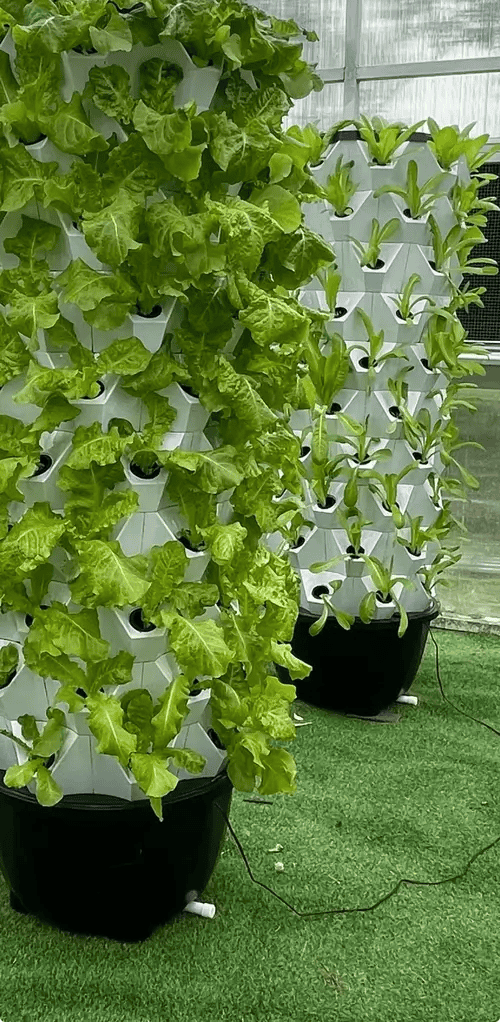 indoor-Hydroponic-Garden