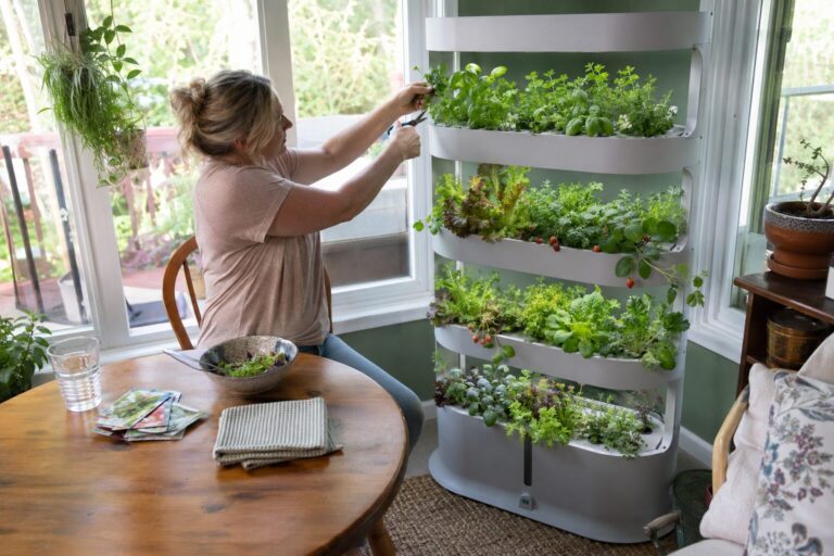 Snipping fresh basil beside a hydroponic tray tower