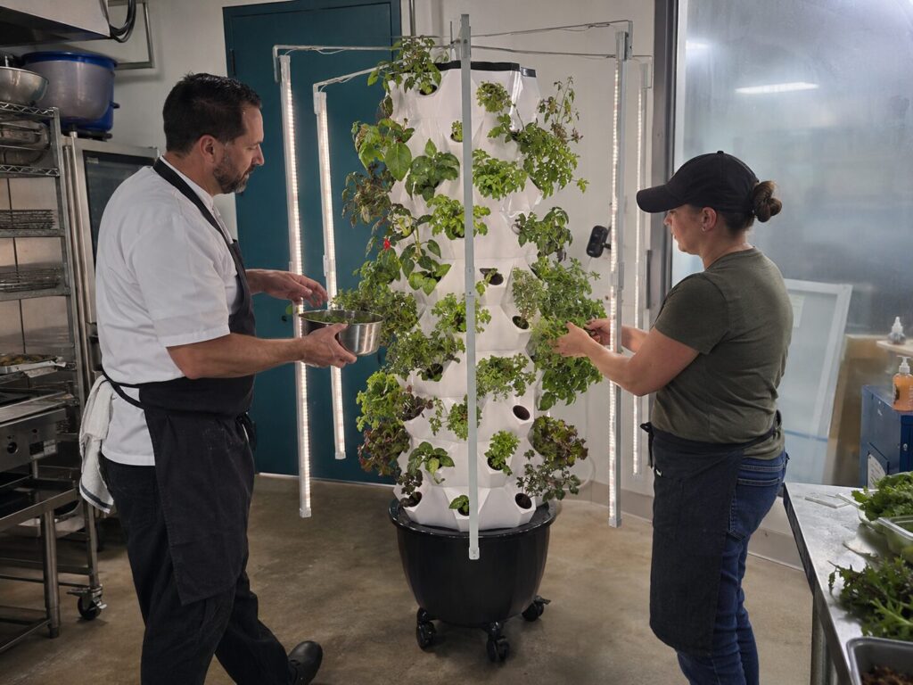 A chef and grower tending a Nutraponics tower garden.