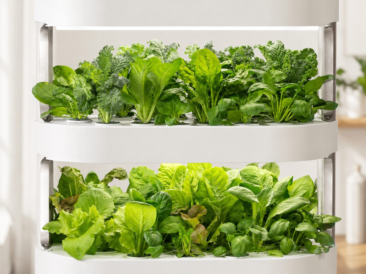 Hydroponics Growing Systems Fresh leafy greens growing across every tier of a hydroponic system