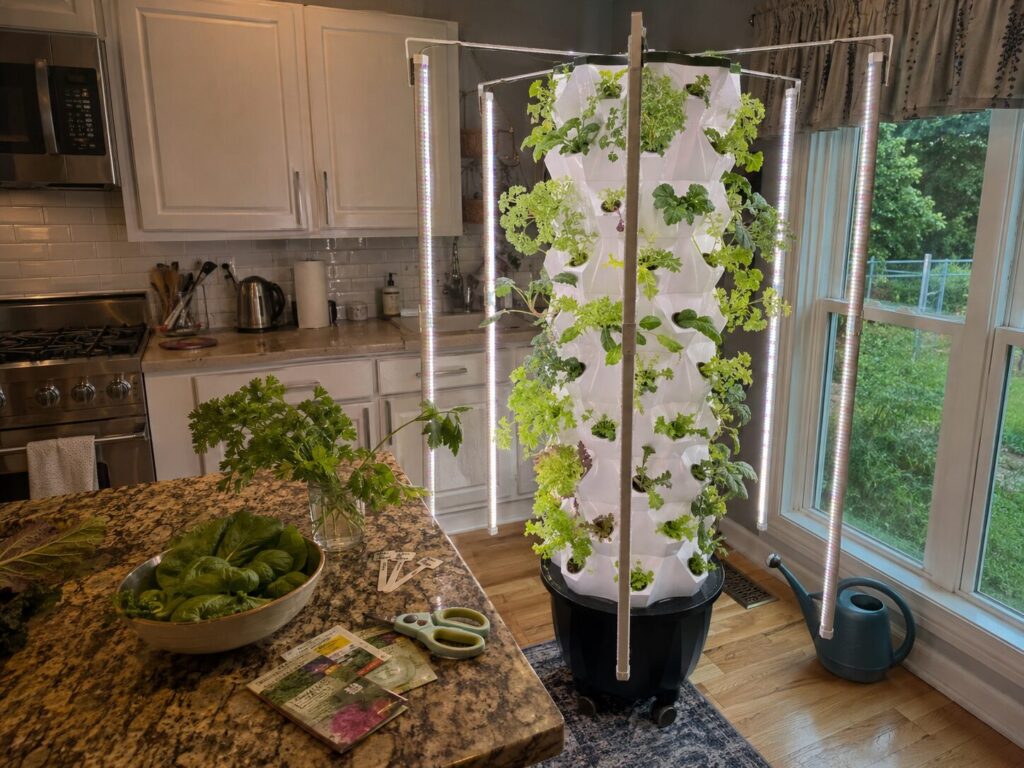 Fresh herbs growing in a Nutraponics kitchen tower garden.