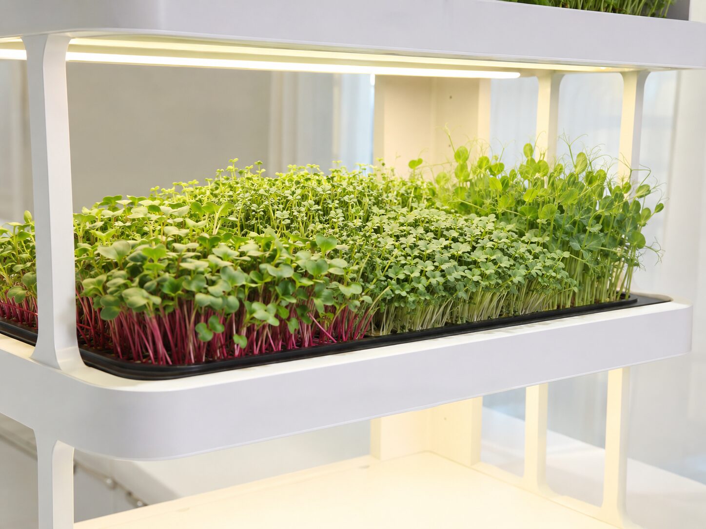 Hydroponics Growing Systems