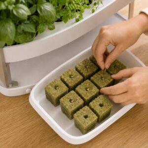 Starting seeds in rockwool propagation plugs