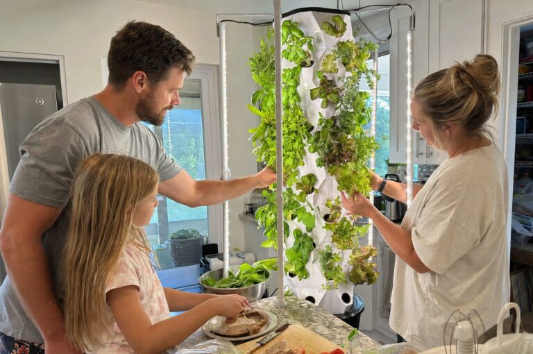 Family harvesting greens together from a tower garden