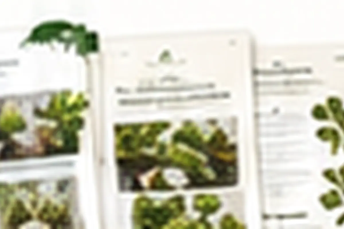 Hydroponics Growing Systems Hydroponics Growing Systems