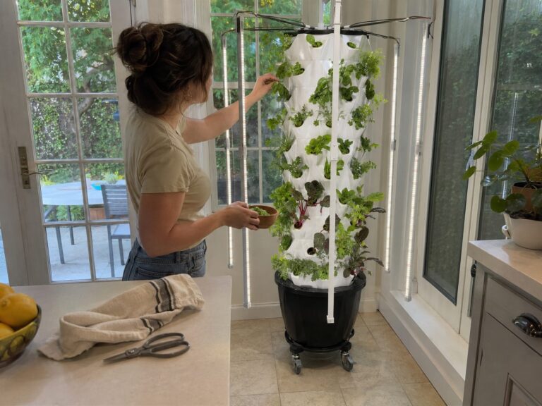 Basil and greens growing in a home tower garden