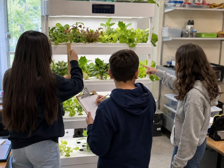 Students tending a classroom hydroponic shelf system