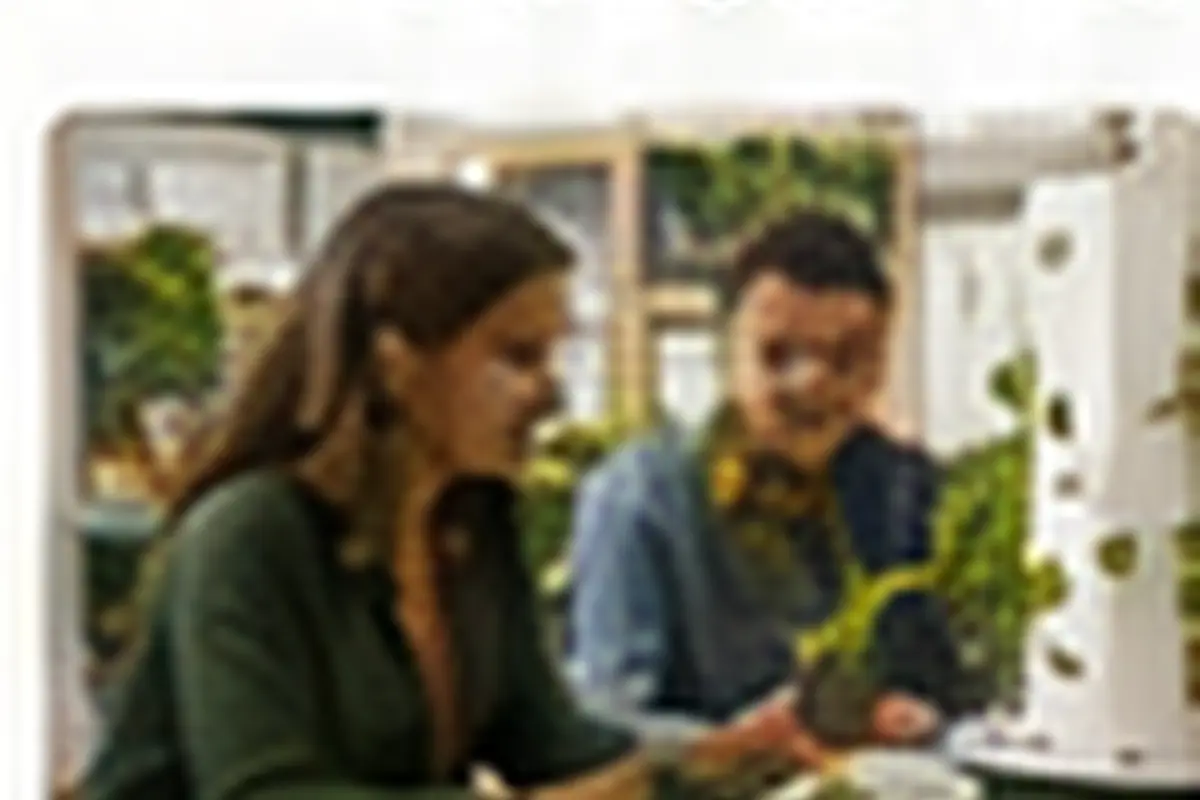 Hydroponics Growing Systems