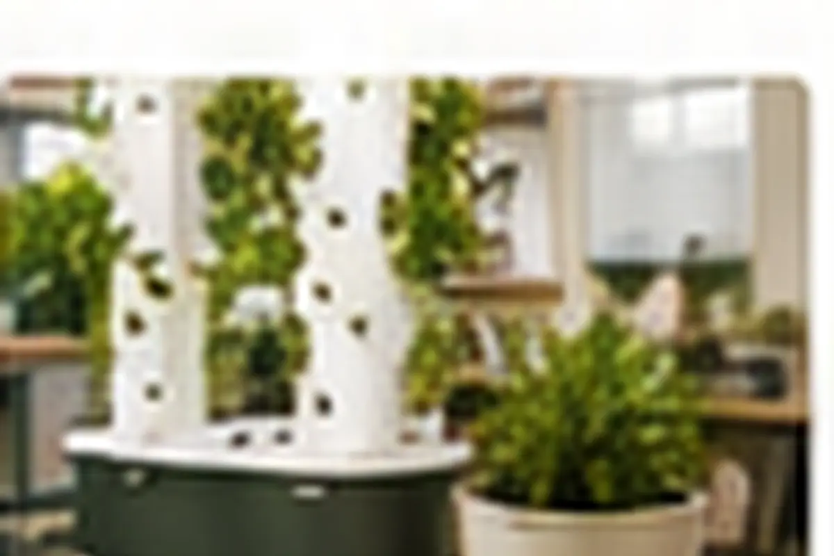 Hydroponics Growing Systems