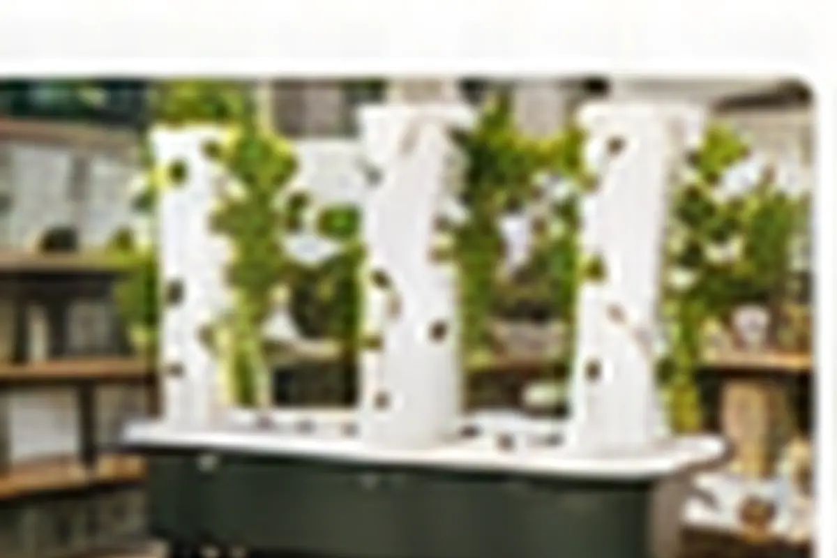 Hydroponics Growing Systems