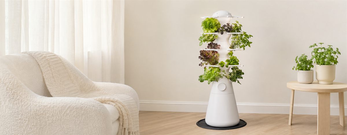 Farmstand nook in an ivory corner