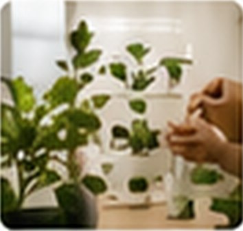 Hands tending a classroom hydroponic system.