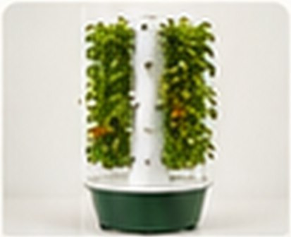 Nutraponics aeroponic system
