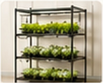 Nutraponics shelf system