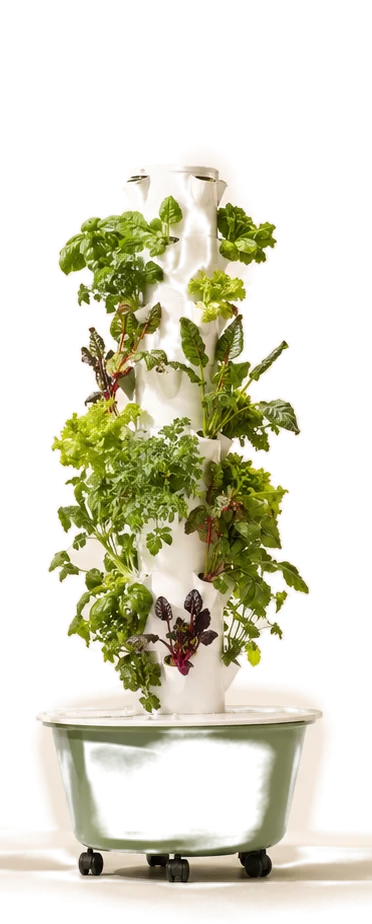 Nutraponics tower garden growing herbs and greens