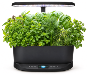 AeroGarden Bounty black countertop garden planted with herbs