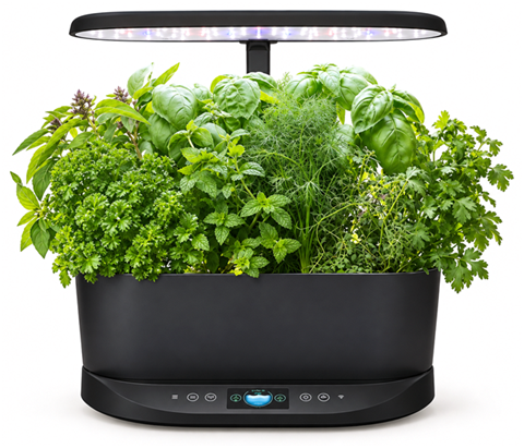 AeroGarden Bounty black countertop garden planted with herbs
