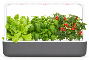 Click and Grow Smart Garden 9 PRO countertop garden with grow lamp