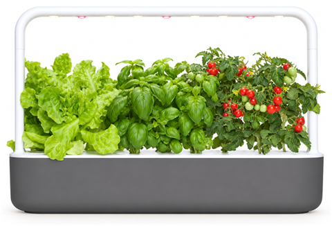 Click and Grow Smart Garden 9 PRO countertop garden with grow lamp