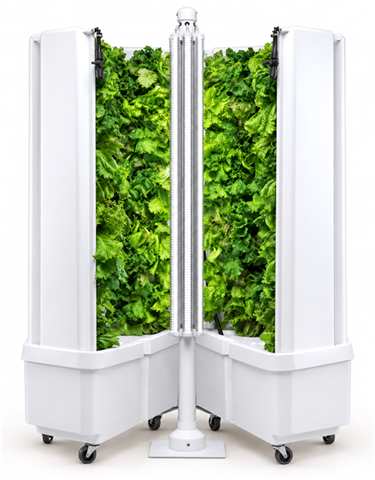 Fork Farms Flex Farm opened to show the interior growing walls of lettuce