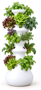 Lettuce Grow Farmstand hydroponic tower planted with leafy greens and herbs