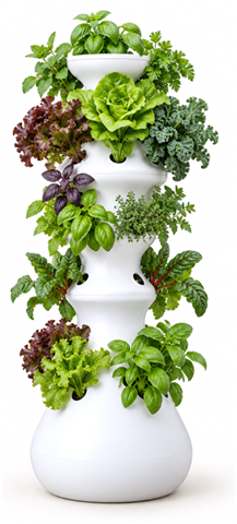 Lettuce Grow Farmstand hydroponic tower planted with leafy greens and herbs