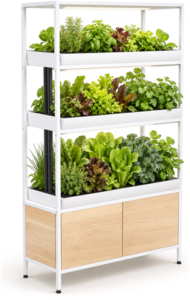 Rise Gardens three-level hydroponic shelf garden with wood base cabinet