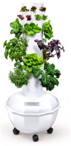 Tower Garden HOME vertical aeroponic tower planted with greens