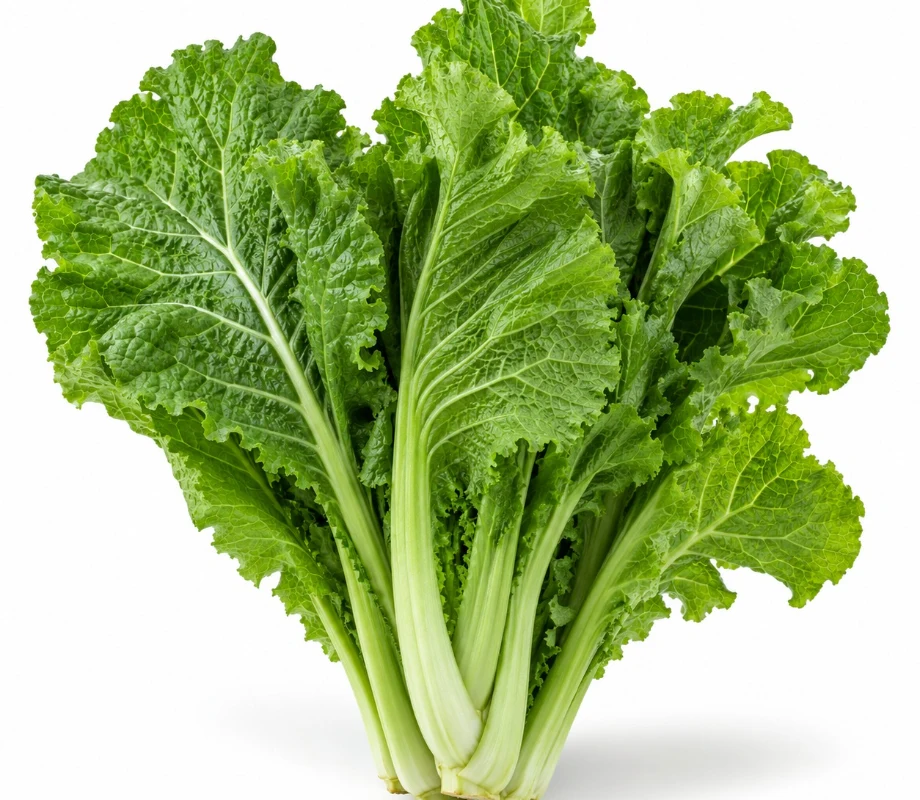 Mustard Greens growing indoors