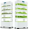 Nutraponics_hydroponics-system_01-2.png